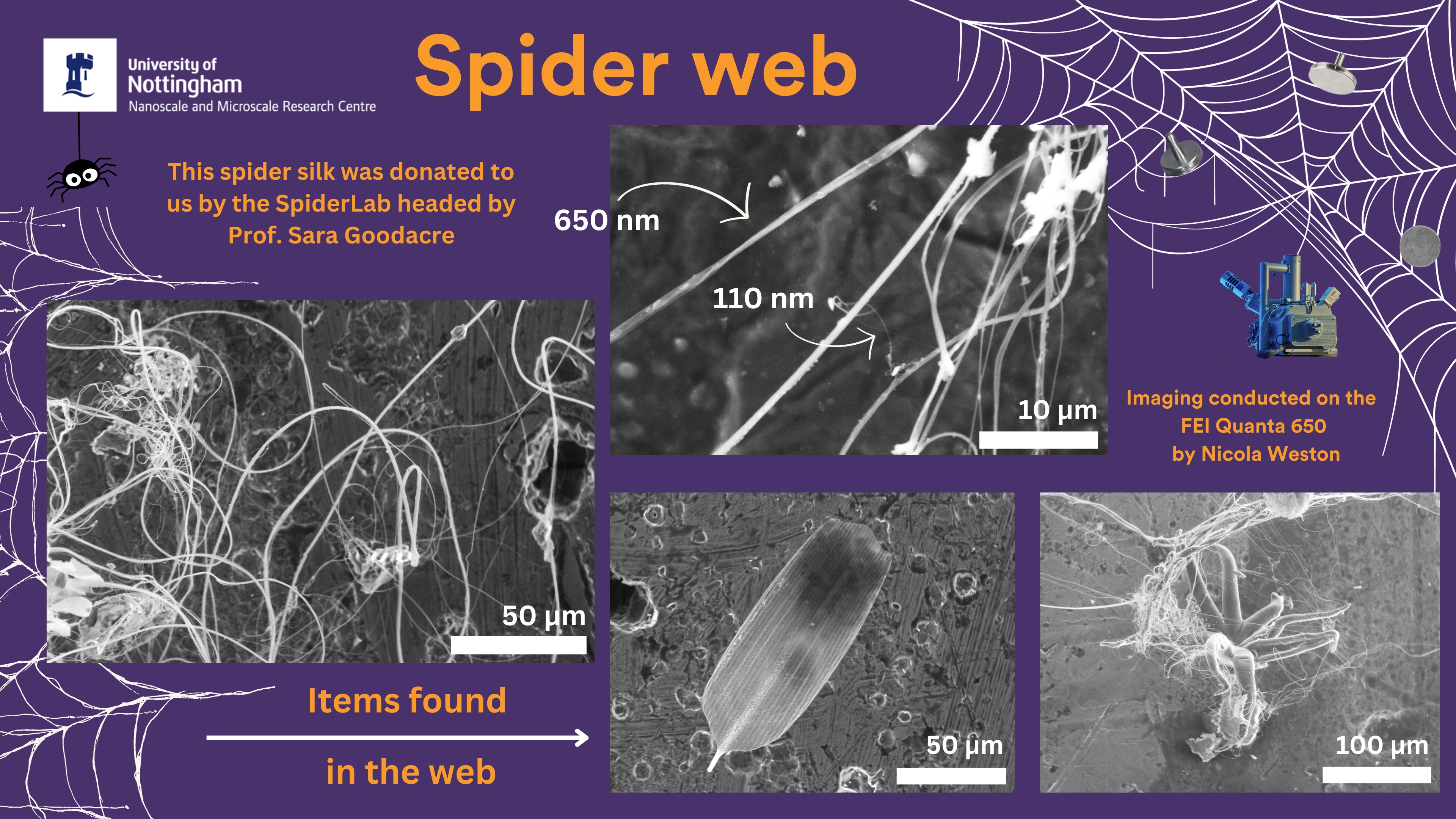 Utm Spider Web