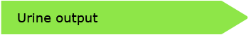 Urine output