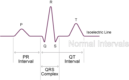 Normal Duration Times Normal Function Of The Heart Cardiology