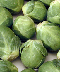 Brussel Sprouts