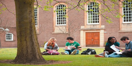 thestudentexperience