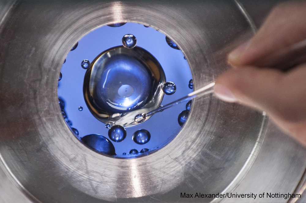 Magnetoscience. Image by Max Alexander.