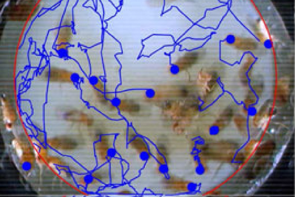 Effect of reduced gravity on small organisms