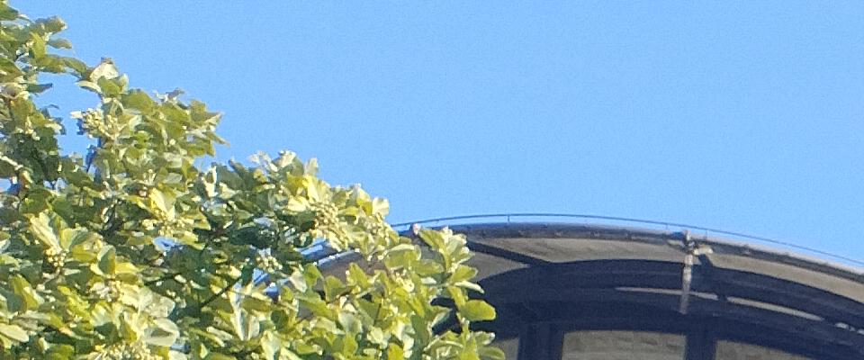 Castle Meadow Campus view of the campus with Nottingham castle in the background