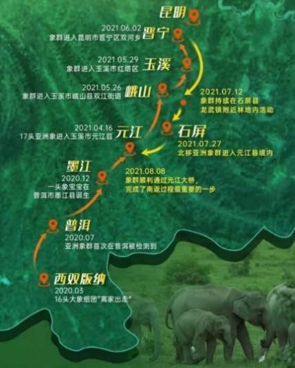 infographic showing the route of an elephant migration