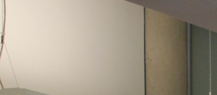 Roda Madziva presenting