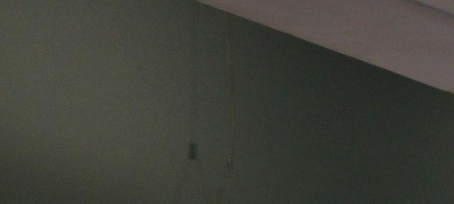 Sarah Cassidy presenting