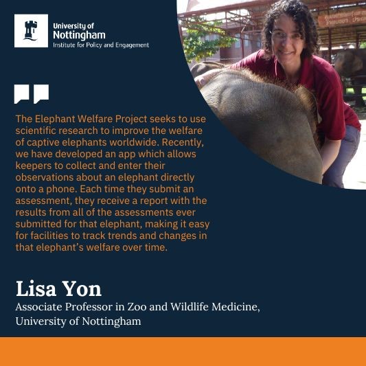 Quote and image of Lisa Yon