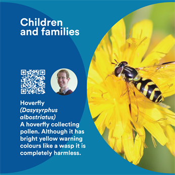 Label with a picture of a wasp, QR code and profile image of a smiling white man. Text reads: 'A hoverfly collecting polen. Although it has bright yellow warning colours like a wasp it is completely harmless'