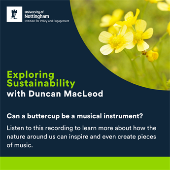 Poster with a QR code, image of buttercups and text that reads 'Can a buttercup be a musical instrument? Listen to this recording to learn more about how the nature around us can inspire and even create pieces of music.'