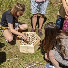 Group of young people building a wooden bug hotel together
