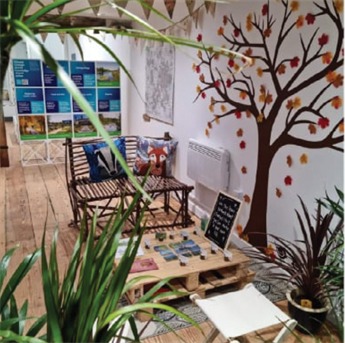Inside of a building with a large tree painted on one white wall. Plants, activities, and climate change displays fill the space