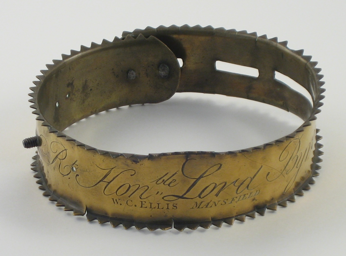 A golden, worn dog collar