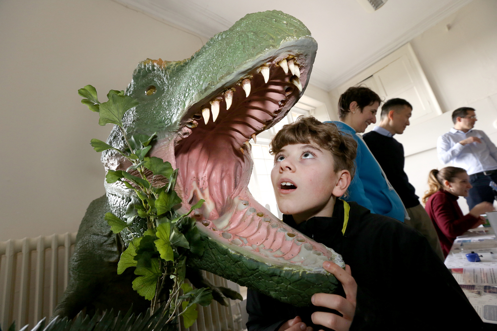 Dinosaur head with boy next to it