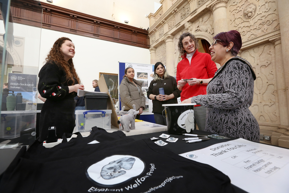 Sheriff of Nottingham, image 6, UoN Lisa Yon