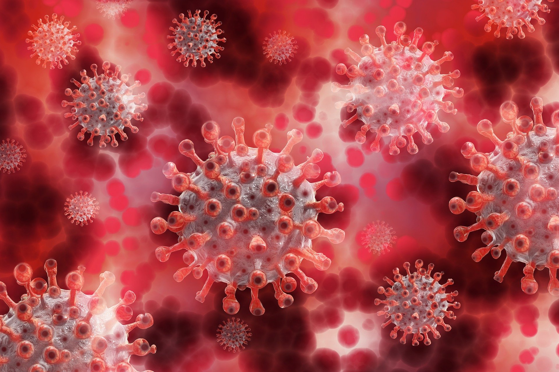 Close up of the coronavirus