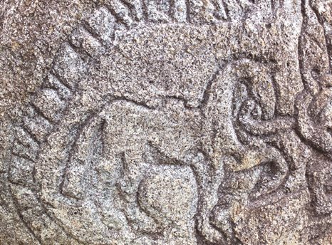 Photograph of a carved horse surrounded by a ring of carved runes on a large stone from Nova Scotia.