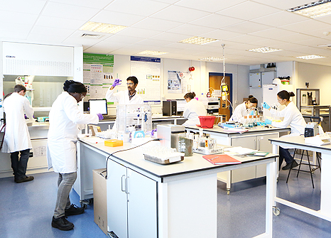 Group-in-lab