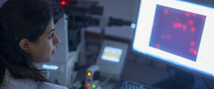 Scientist at computer