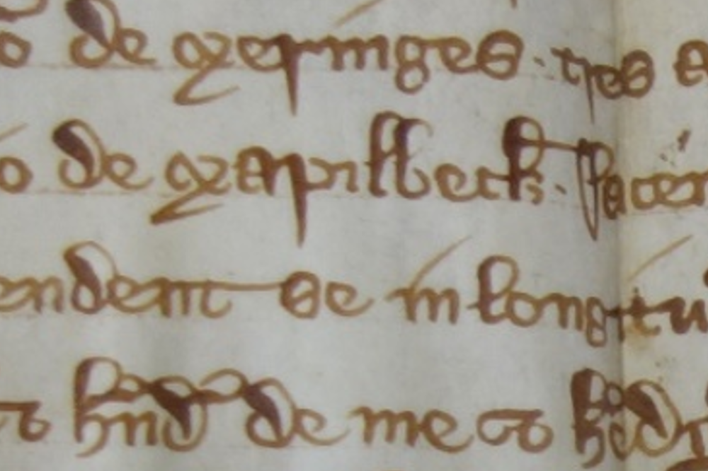 Extract of medieval text