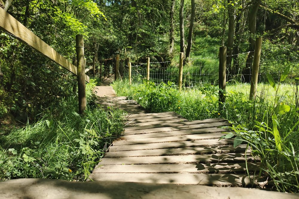Photo of a flagstone walking path through British countryside in the sunshine.