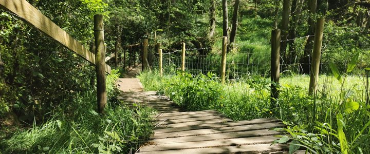 Flagstone walking path through British countryside in the sunshine.