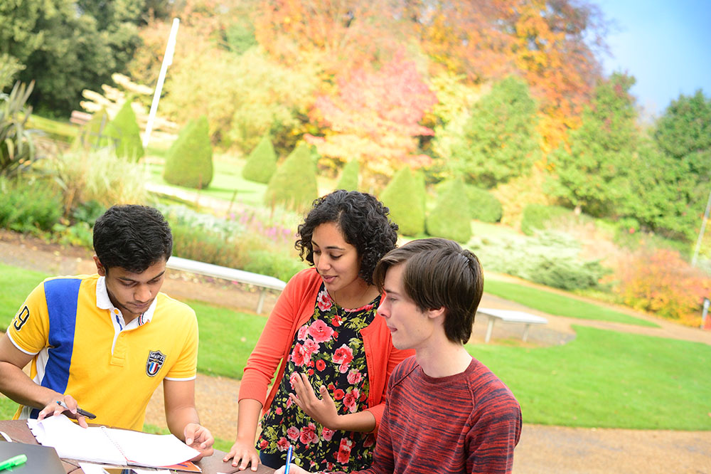 three students studying in a garden on campus