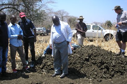Group gathered around soil pit on sunny day