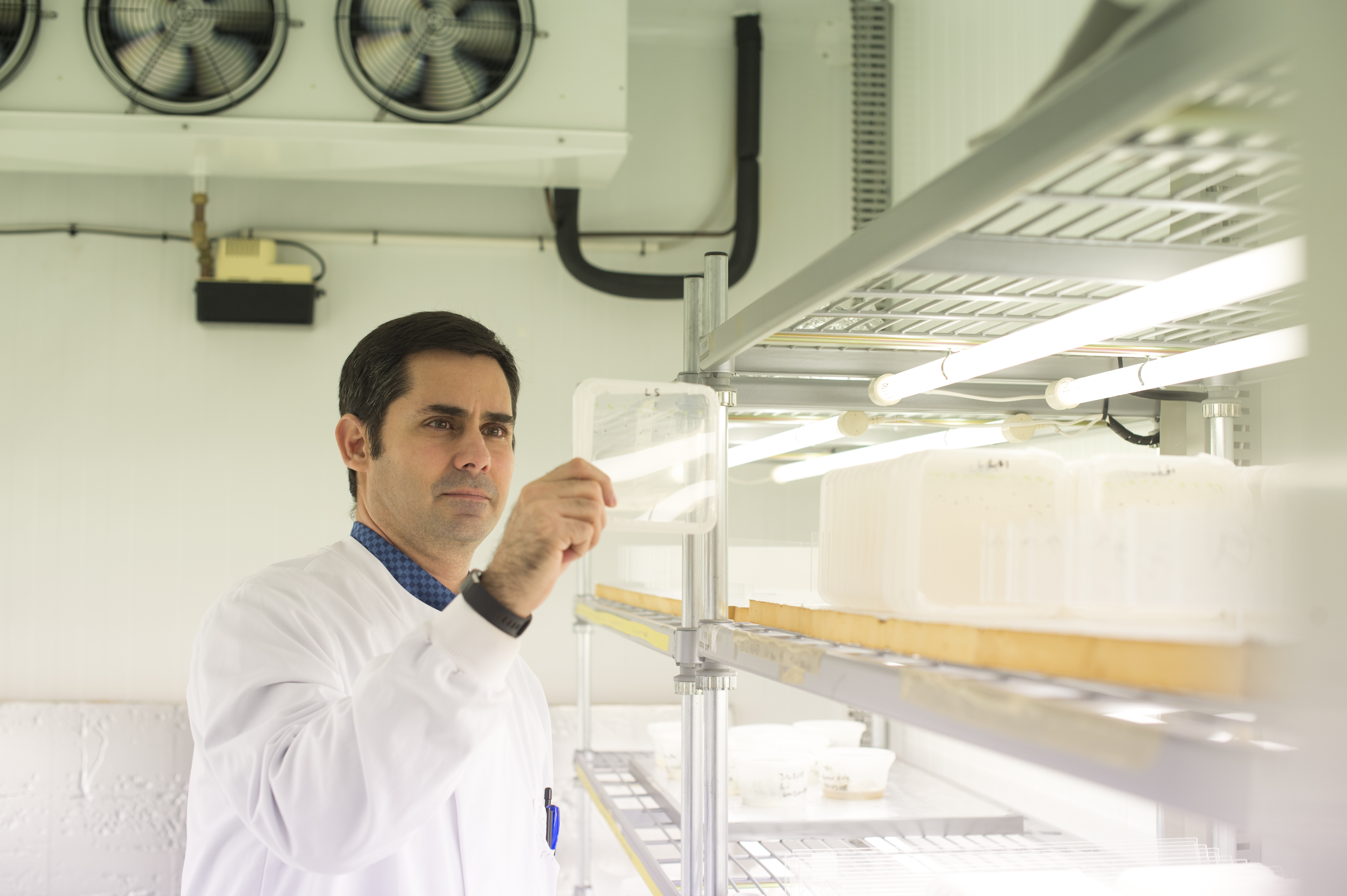 A scientist in a white lab coat holding a Petri dish.