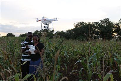 Two researchers in a maize field with a drone