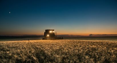 A combine harvester in a wheat field at night