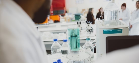 Researchers in a greenhouse at Sutton Bonington Campus