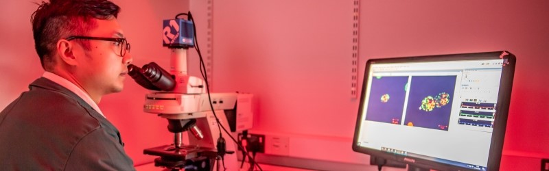 Research associate reviewing fluorescence microscopy of yeast