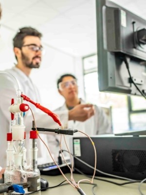Image of a students review information on a computer