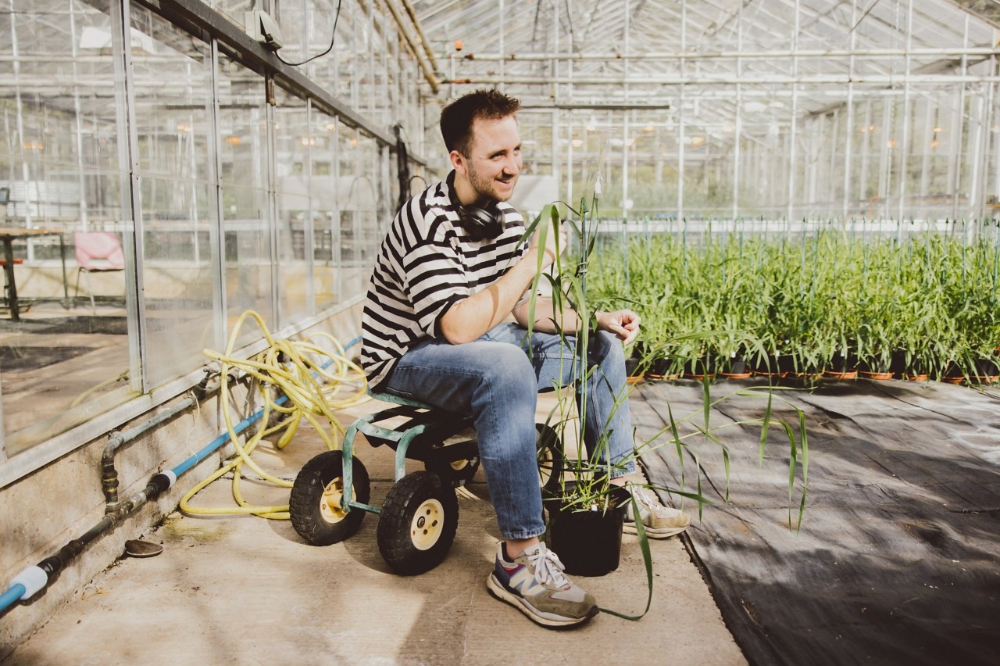 PhD student researching female fertility in wheat