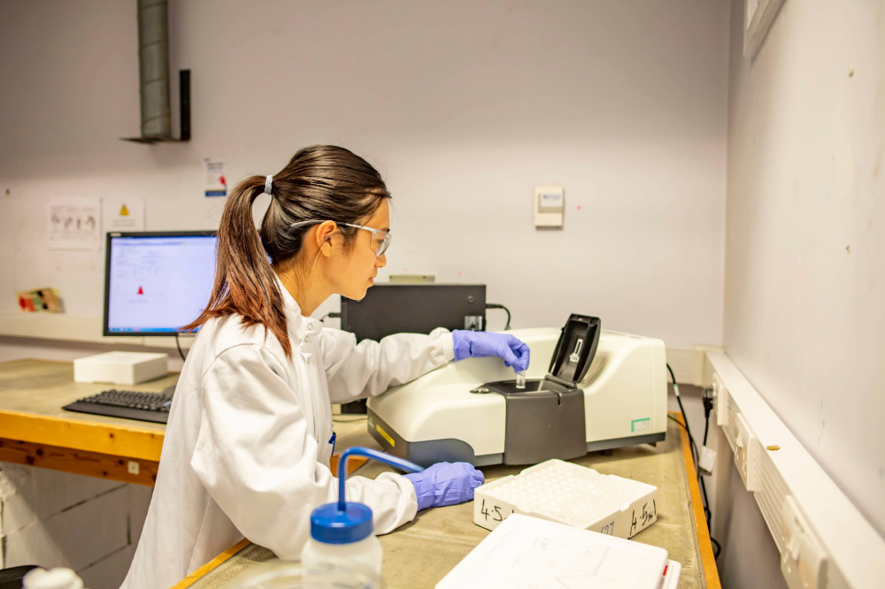 Rooftop telescope domes