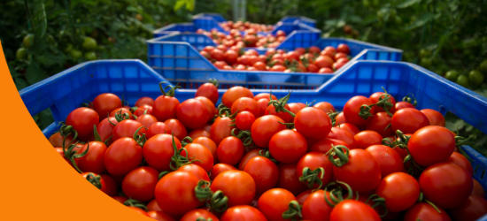 An arial view food supplies being transported by boat