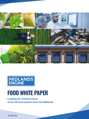 Screenshot of the white paper cover page