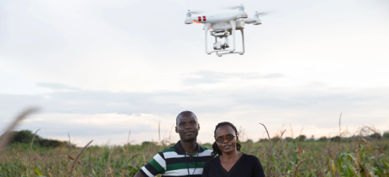 Blue shopping basket with food