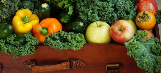 Vegetables and fruits in a suitcase