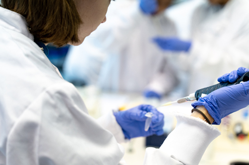 Student using a pipette to pull out DNA
