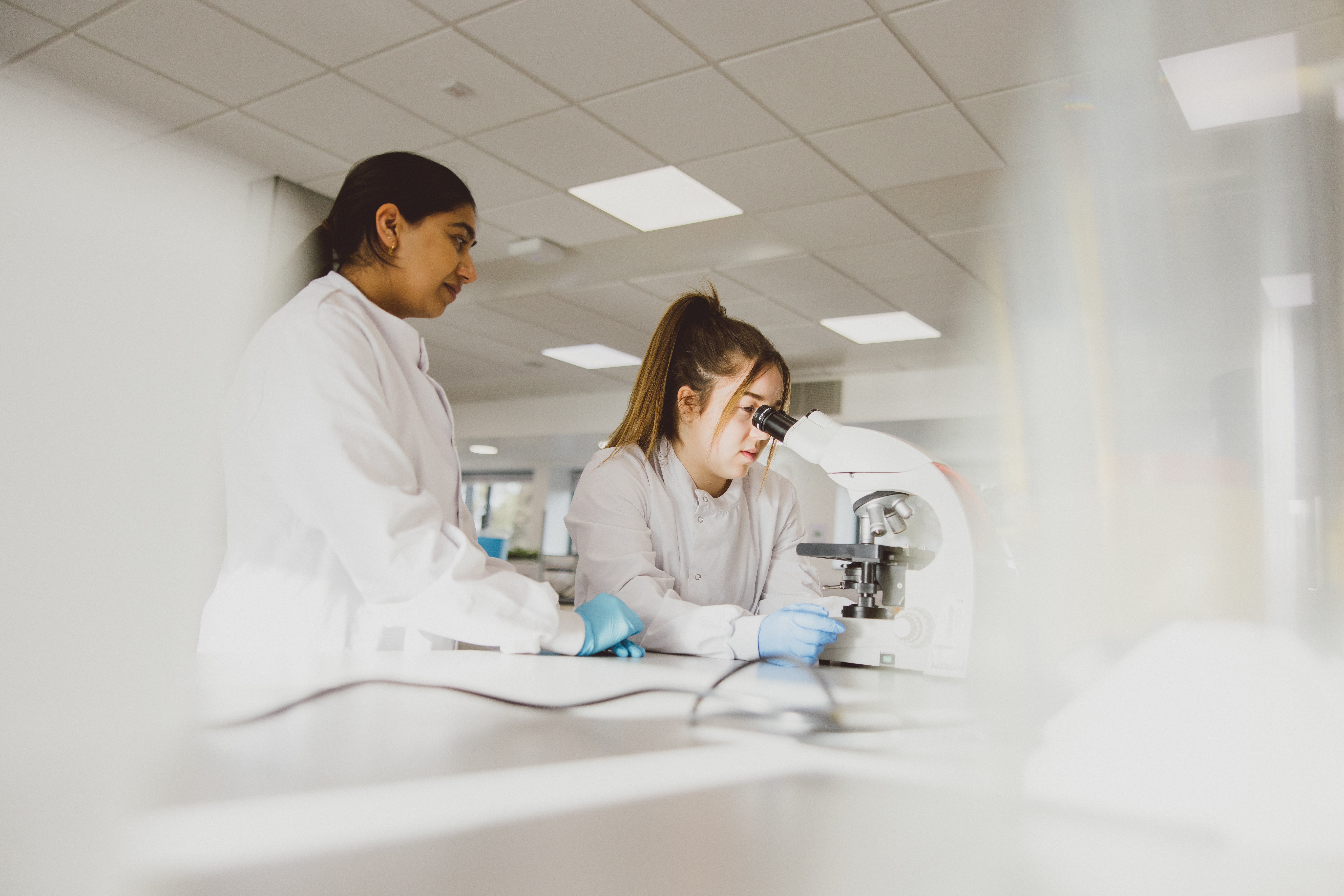 Student using a microscope