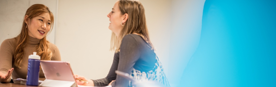 Two students studying together using a laptop.