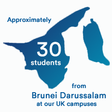 Brunei-Darussalam---Map-graphic