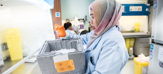 Research student working with frozen samples in a lab