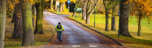 Cyclist riding through University Park in autumn