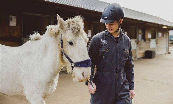 Undergraduate student leading horse outside stables