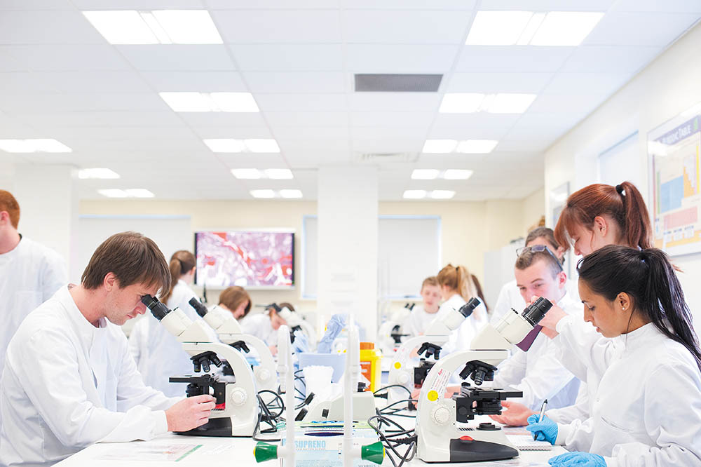 Two groups of students in a laboratory