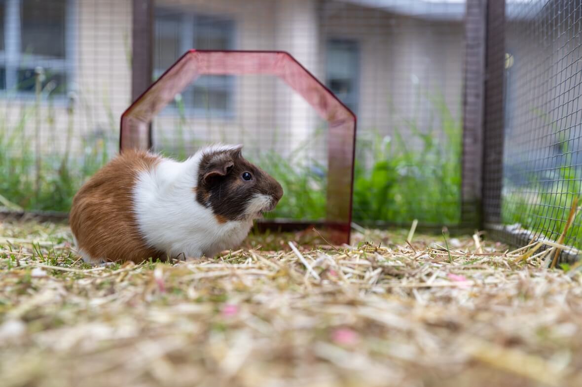 Bioinformatics | Postgraduate | University of Nottingham